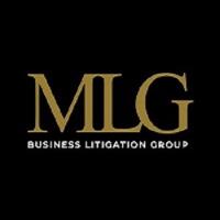 MLG Business Litigation Group image 1